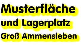 Musterfläche  und Lagerplatz   Groß Ammensleben