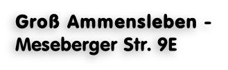 Groß Ammensleben -  Meseberger Str. 9E